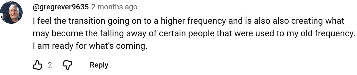 YouTube comment by @gregrever9635